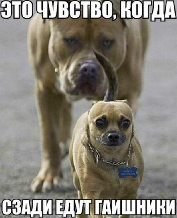 Автоприколы (31 фото) Автоприколы (31 фото)