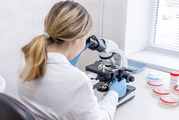 Российских ученых попросили ускориться с инновациями