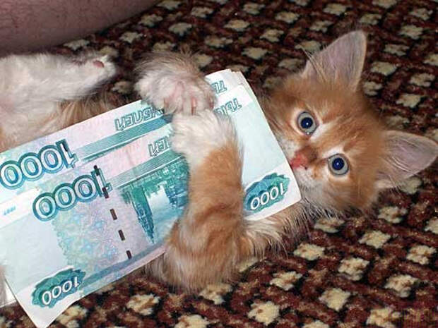 Давайте улыбаться вместе! :) (52улыбки)
