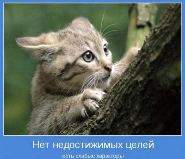 А теперь мотиваторы