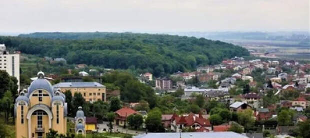 Ветеран «Азова», переехавший в Львов, спровоцировал драку и пожаловался, что его избили соседи