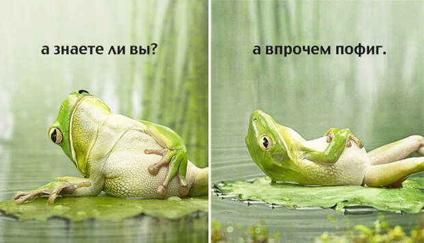 1 (17) (696x399, 226Kb)