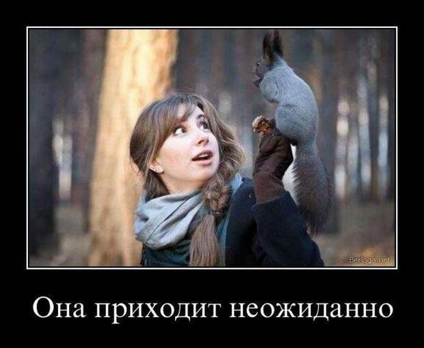 Сборник демотиваторов со смыслом и без Сборник демотиваторов со смыслом и без