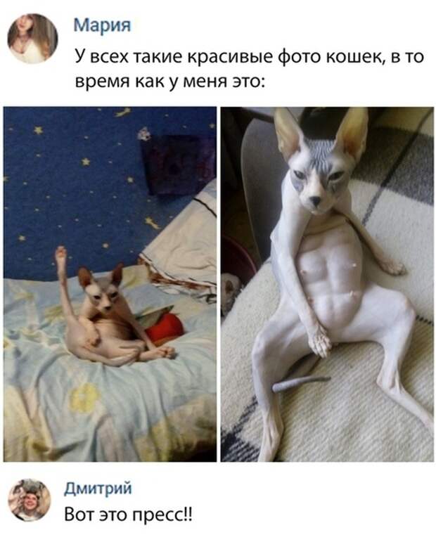 Смешные комментарии из социальных сетей. Часть 23 ( 26 скриншота)