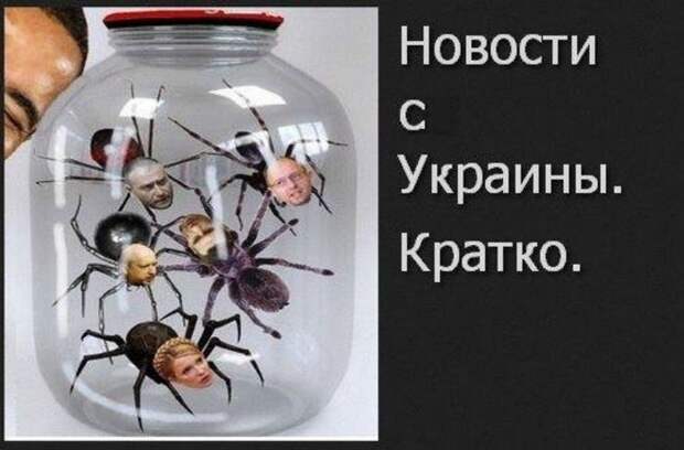 Ярош потребовал отставки Порошенко и роспуска Рады Ярош потребовал отставки Порошенко и роспуска Рады
