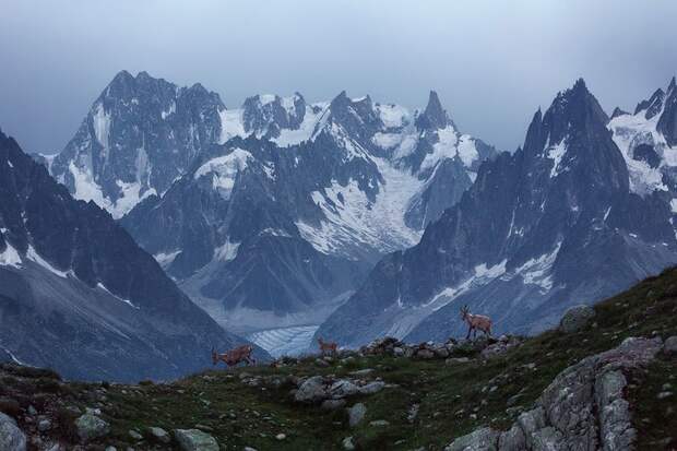 french-alps-photo-tour-by-lukas-furlan-4