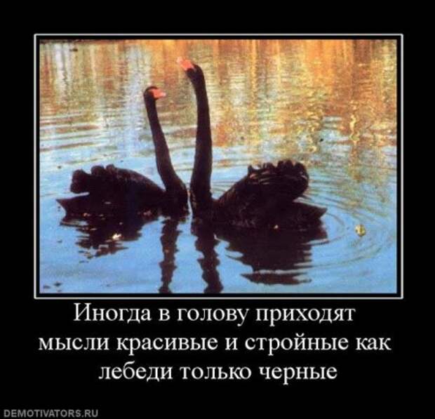 Смешные новые демотиваторы.