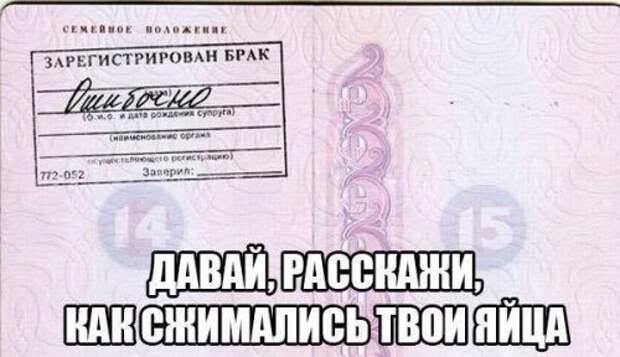 Прикольная подборка картинок и фоток (29 шт)
