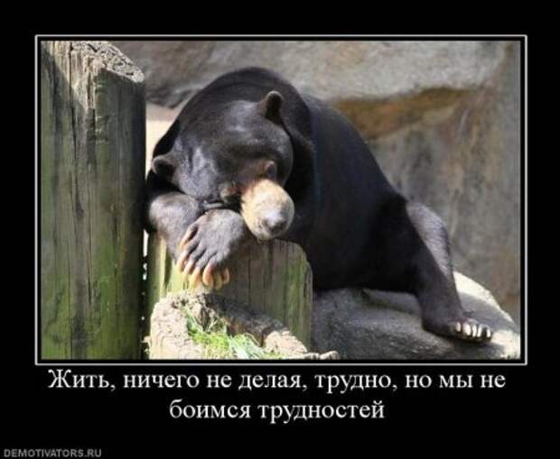 Демонтиваторы приколы.