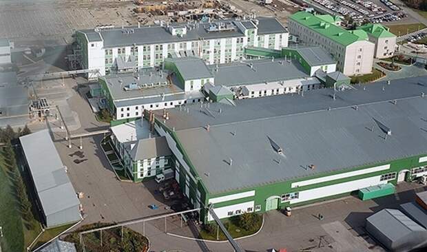 Деньги на траве: кто зарабатывает миллиарды на биодобавках