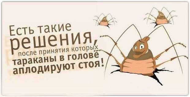 Прикольные картинки (90 фото) Прикольные картинки (90 фото)