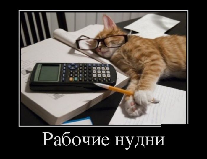 Демотиваторы (30 фото)