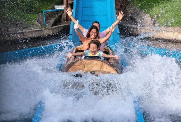 A family cheering while splashing into the water on a theme park log ride.