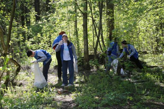 Ежегодный весенний субботник прошёл в Буммашевском лесу Ижевска