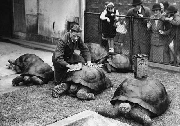 Очень интересные исторические фото, которые обязательно нужно увидеть Очень интересные исторические фото, которые обязательно нужно увидеть
