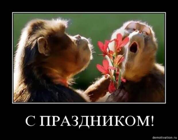 Демотиваторы, будет смешно много новых и прикольных!