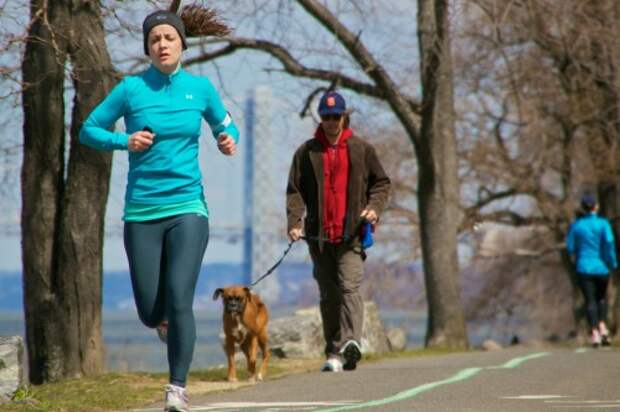 That damn dog tried to take a bite out of me when I went past it!