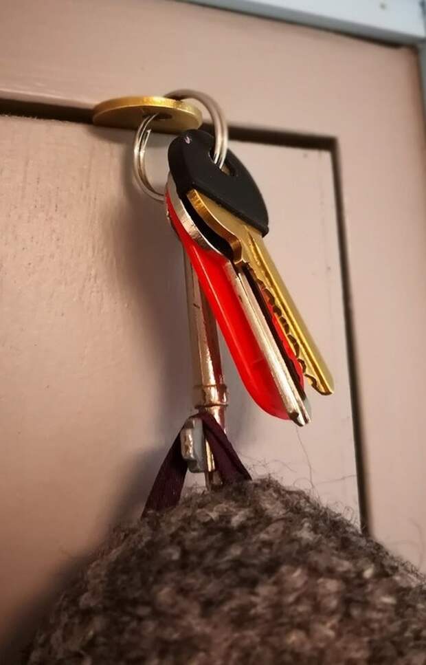 Советы, которые пригодятся каждому из нас Советы, которые пригодятся каждому из нас