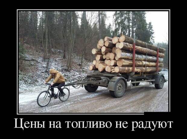 Демотиваторы (30 фото)
