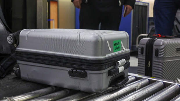 Экзотический груз: в багаже пассажира из Вьетнама нашли 3 кг замороженных червей