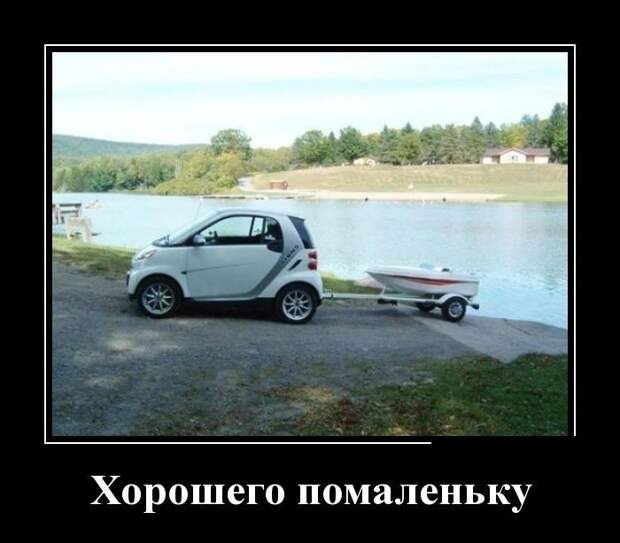 Фото, которые гарантированно поднимут вам настроение демотваторы, картинки, прикол, юмор