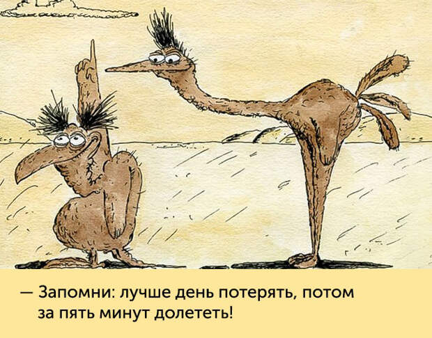 фразы из наших любимых мультиков