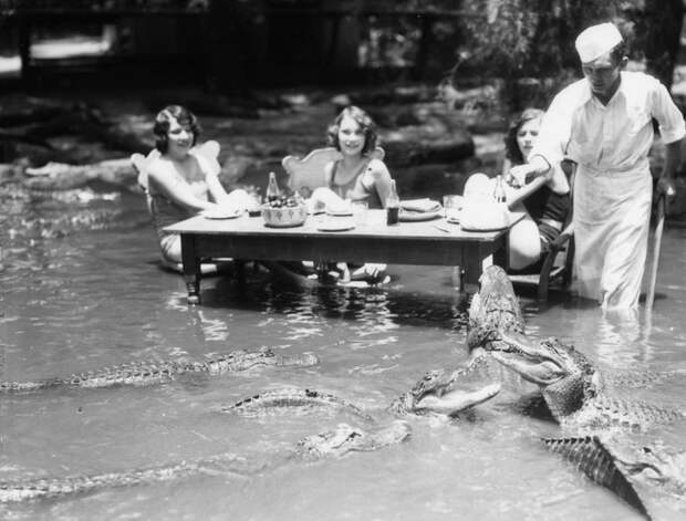 park alligatorov v Kalifornii 3