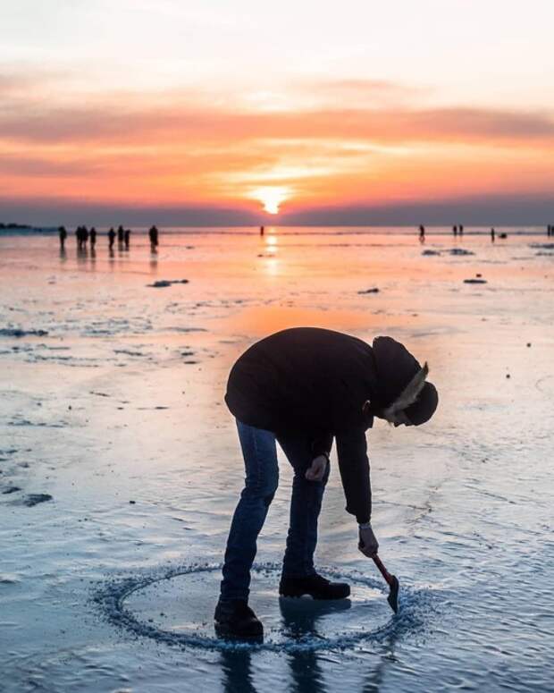 Подборка смешных картинок и веселых фотографий из сети