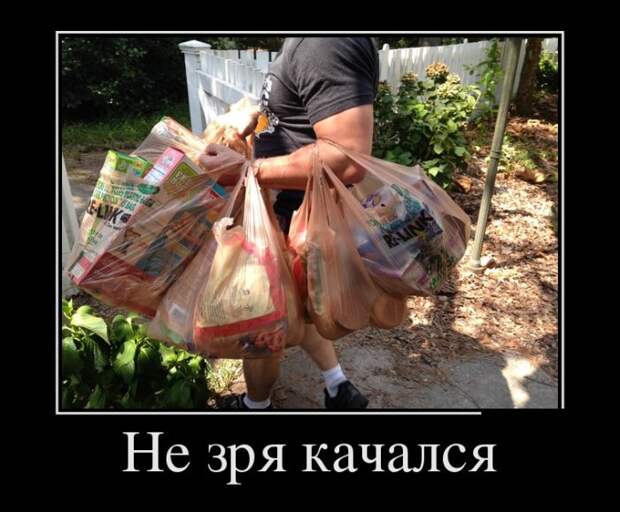 Демотиваторы №1069 (30 фото)