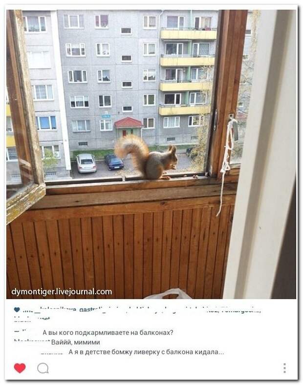 Комментарии из соцсетей