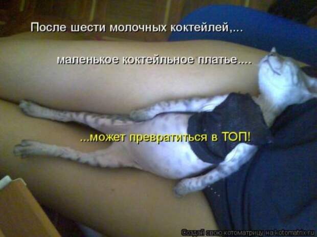 Котоматрица новые за неделю.