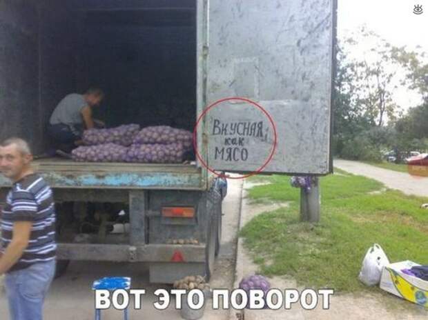 Автокурьёзы с дороги 15