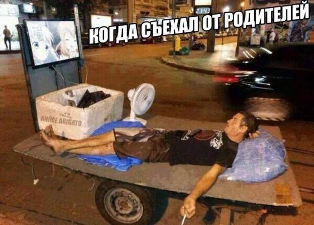 Подборка автоприколов. Часть 209 авто, автоприколы, приколы