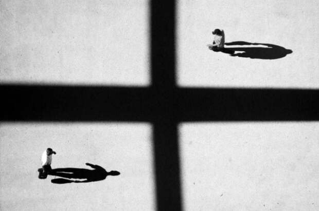 Тени отбрасывают котов: 20 сюрреалистических фотографий Алексея Меньшикова