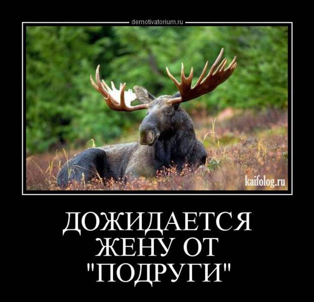 Смешные демотиваторы - 252 (55 демотиваторов)