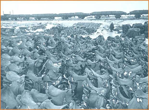 45. Румынская кавалерия в Сталинграде ВОВ 1941-1945, вмв, война