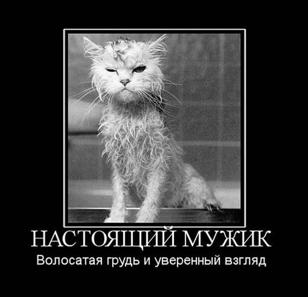 Демотиваторы (30 фото) Демотиваторы (30 фото)