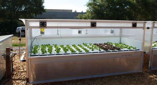 3726595_rooftopgardens_1 (700x383, 52Kb)