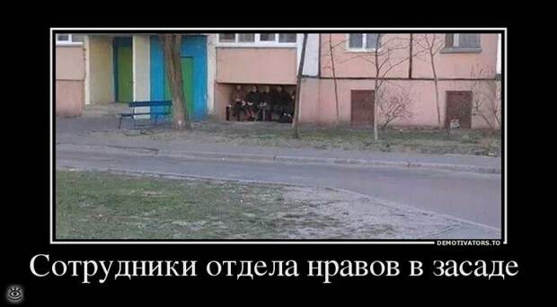 Селёдка под юбкой? 15