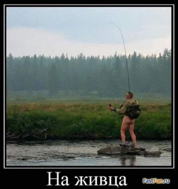 Подборка демотиваторов