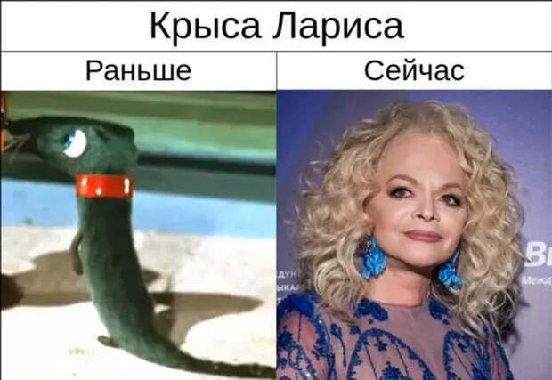 Мем про Ларису Долину