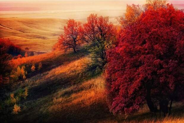 Красивые и интересные фотки. Осенние (25 штук)