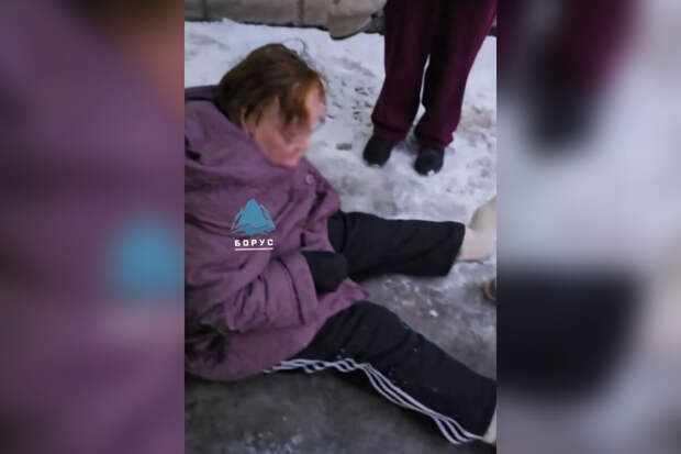 В Красноярске собака чуть не растерзала пенсионерку