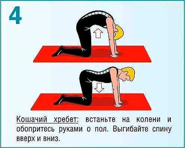 После этих упражнений вы забудете о болях в спине навсегда. это должен знать каждый После этих упражнений вы забудете о болях в спине навсегда. это должен знать каждый