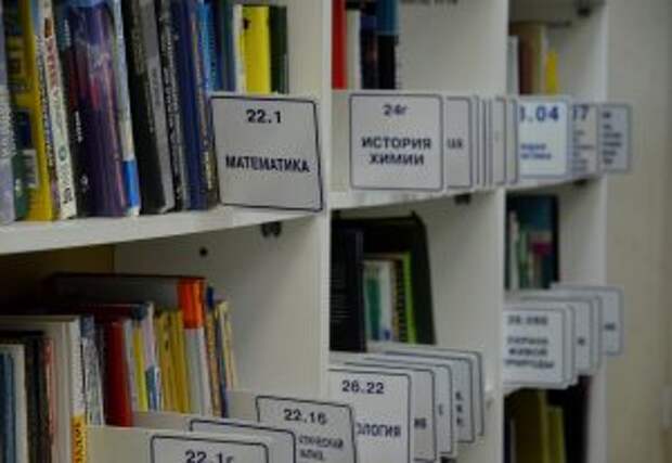 Онлайн-занятия в рамках акции «Первоклассный читатель» проведут для детей. Фото: Анна Быкова