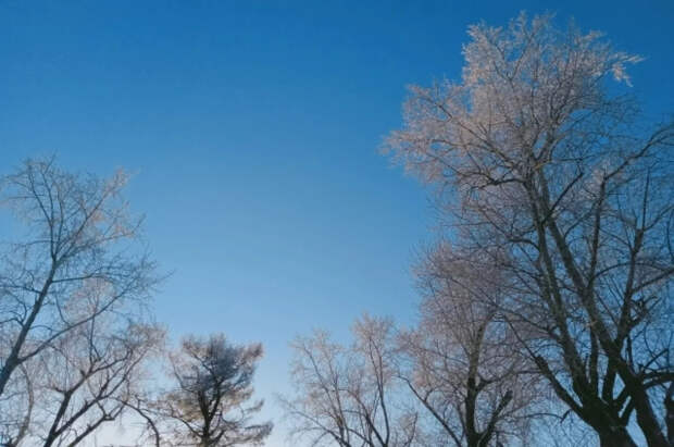 Климатолог Семёнов сказал, что через 15-20 лет крещенские морозы исчезнут