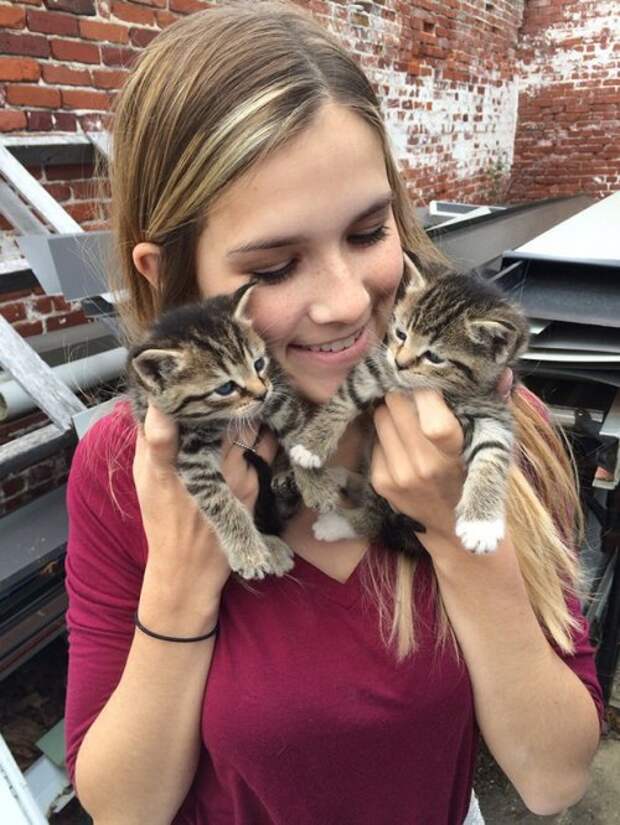 Животные-очаровашки (26 фото)