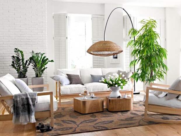 оформление интерьера гостиной дизайн с крупными и средними растениями