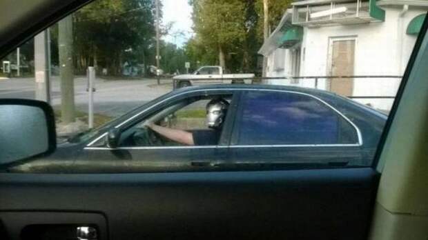 Прикольные картинки (97 фото)