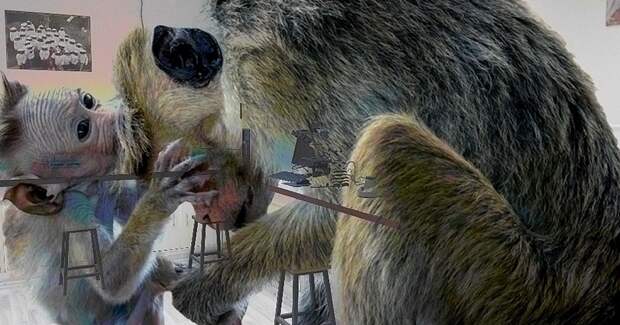 Накопленные невзгоды связаны со стереотипными движениями у макак-резусов